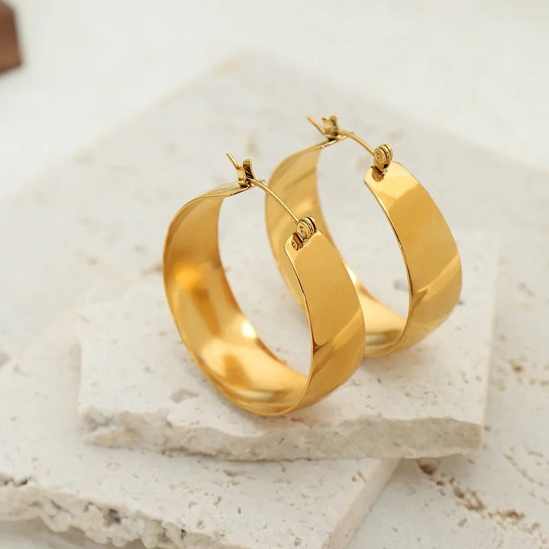 Chunky Round Style Earrings